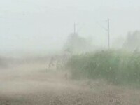 Furtunile au făcut ravagii în țară: „Spuneai că e ceaţă, aşa bătea”