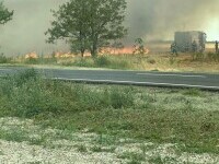 Incendiu de vegetație uscată în Popești-Leordeni. Flăcările s-au extins la o locuință | FOTO & VIDEO