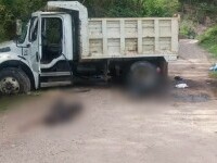 Descoperire șocantă într-un camion. A avut loc un adevărat masacru