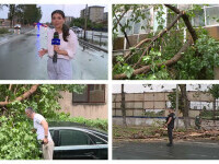 Așa arată dezastrul. Copaci căzuți, mașini distruse și oameni răniți în București, după o furtună violentă