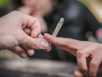 joint iarba marijuana droguri