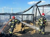 ferma incendiu brasov