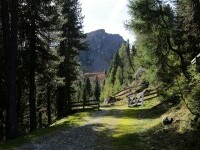 Tirol