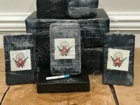 Un turist a făcut o descoperire de 500.000 de dolari în timp ce se plimba pe o plajă din Florida. Ce a observat la mal