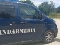 pantera