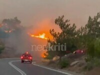 incendiu vegetatie