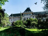 Palatul Primăriei Municipiului București