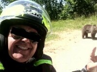 Pedepse dure pentru cei care hrănesc animale sălbatice. „Dacă dai o singură dată mâncare unui urs, l-ai condamnat la moarte”