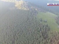Incendiu de proporții în Argeș. Cinci hectare au ars în întregime. Pompierii s-au luptat din răsputeri să stingă flăcările