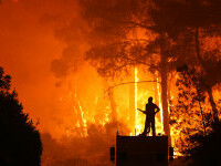 Turcia a arestat 10 suspecţi după izbucnirea incendiilor de vegetaţie. Anchetă în curs pentru 15 persoane