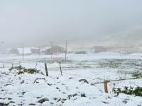 Turcia, împărțită între incendii de vegetaţie și ninsori. „E prima dacă când văd zăpadă în iulie”. GALERIE FOTO
