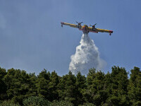 Pompierii din Grecia se luptă cu un nou incendiu de vegetaţie,