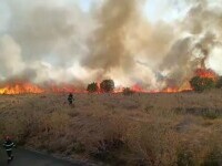 Incendiu de vegetație în Arad
