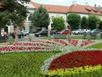 bistrita