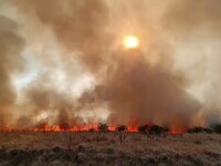 incendii vegetatie