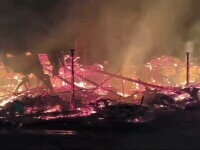 Incendiu violent în Bacău. O hală de prelucrare a lemnului a fost mistuită de flăcări