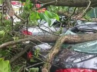 Furtunile au făcut prăpăd în aproape toată țara. Vântul a pus la pământ copaci și stâlpi de electricitate. „M-am speriat”