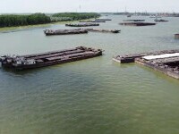 Blocaj pe Dunăre din cauza secetei. Navele rămân blocate în nisip. „Fermierii nu își pot vinde marfa”