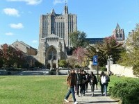 yale