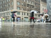 Cod Roșu de vijelii și vreme extremă în județul Bacău. Localitățile afectate de fenomenele meteorologice puternice