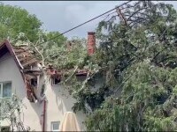 „Nenorocire, sfârșitul lumii!”. Pagube de milioane de lei în Sinaia după furtuna puternică. Și Castelul Peleș a fost avariat