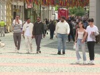 timisoara