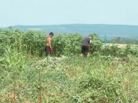 Serele solidarității în Iași. Foști beneficiari ai ajutorului social muncesc acum pentru a hrăni zeci de copii