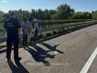 migranti