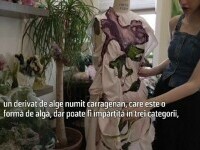 Haine din porumb și alge, alternativa „verde” la fast fashion: „Acești oameni sunt pe cale să descopere ceva important”