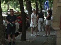 profesori, examen titularizare