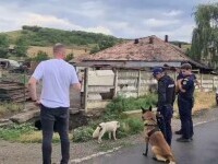 Unde a fost văzut criminalul din Mureș. Anchetatorii cred că este ajutat să se ascundă: „Fu aici criminalul”