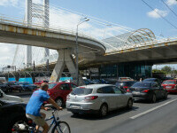 masini in trafic