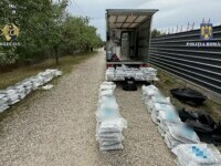 Captură record de droguri în țară. Locul neașteptat în care au fost ascunse peste 200 de kilograme de canabis și cocaină