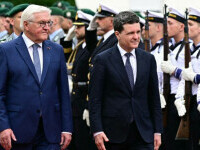 Frank Walter Steinmeier nicusor dan