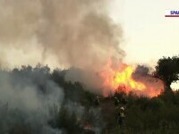 Incendiile de vegetație fac ravagii în Europa și SUA. În Spania, focul a ajuns lângă o tabără cu 50 de copii