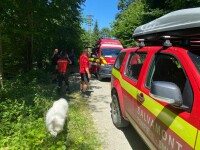 Un tânăr a fost atacat de câini în Munţii Făgăraş. „A fost muşcat foarte grav. Din păcate, căţelul lui a fost omorât”
