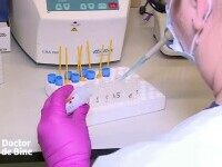 Vitamina obligatorie tot timpul anului, pentru un organism sănătos