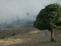 Caniculă în Europa. Temperaturi de peste 48°C în sudul Italiei și Cod roșu de incendii în Grecia
