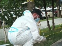 Femeia din Iași care și-a înjunghiat soțul a fost dusă la Psihiatrie: „Era vizibil într-o stare de șoc emoțional”