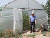 Seceta adâncește criza din agricultură. România nu folosește apa de ploaie, fermierii lăsați să se descurce singuri