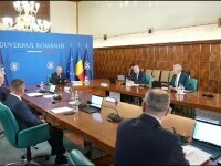 sedinta de guvern