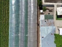 Cum ar putea fermierii să îmbunătățească distribuția legumelor românești. „Nu poți să te duci de negustori”