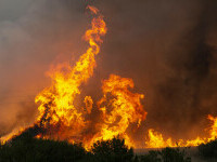 Incendiile de vegetație fac prăpăd în Bulgaria din cauza caniculei. „Ți se lipesc pantofii de asfalt. E incredibil de cald”