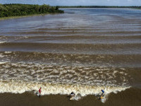 Un jurnalist din Brazilia, aflat în apă pentru un reportaj în direct, a călcat pe cadavrul unei fete dispărute