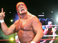 hulk hogan