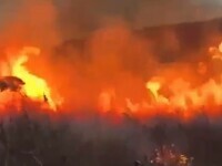 Canicula extremă favorizează incendiile din România. Pompierii intervin la sol și din aer pentru stingerea flăcărilor
