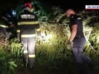Furtuni violente după caniculă. Un bărbat a murit la un maraton din Suceava după ce a fost lovit de un copac