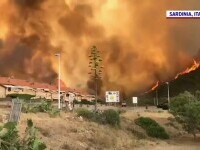 Grecia, Turcia, Bulgaria, Albania și Italia se luptă cu incendii grave de vegetație. Record absolut în Turcia - 50,5 grade
