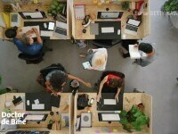 birou activitate ddb