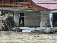 Cod portocaliu de inundaţii pe râuri din patru judeţe, până luni dimineaţa. Avertismentul hidrologilor